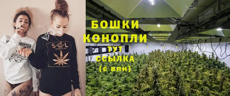 Бошки Шишки SATIVA & INDICA  Азов 